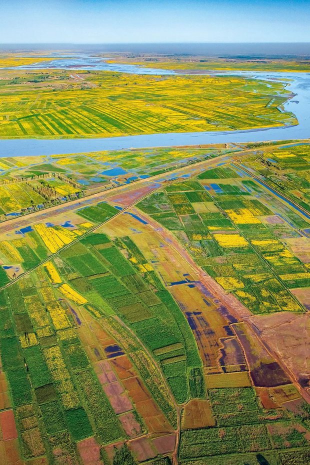 Chùm ảnh mùa thu hoạch ấn tượng ở Trung Quốc - ảnh 5