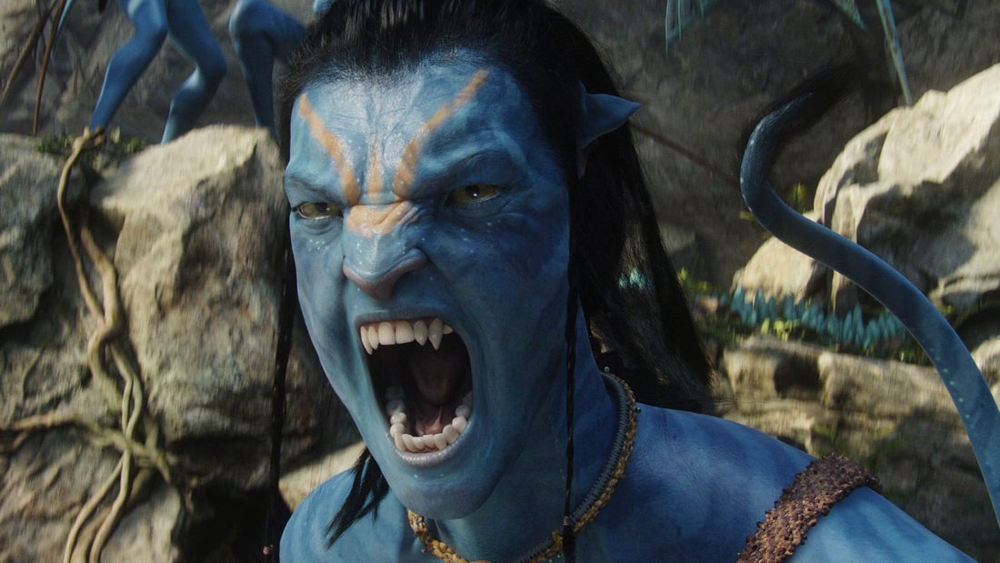 Dàn sao ‘Avatar’ sau 13 năm - ảnh 2