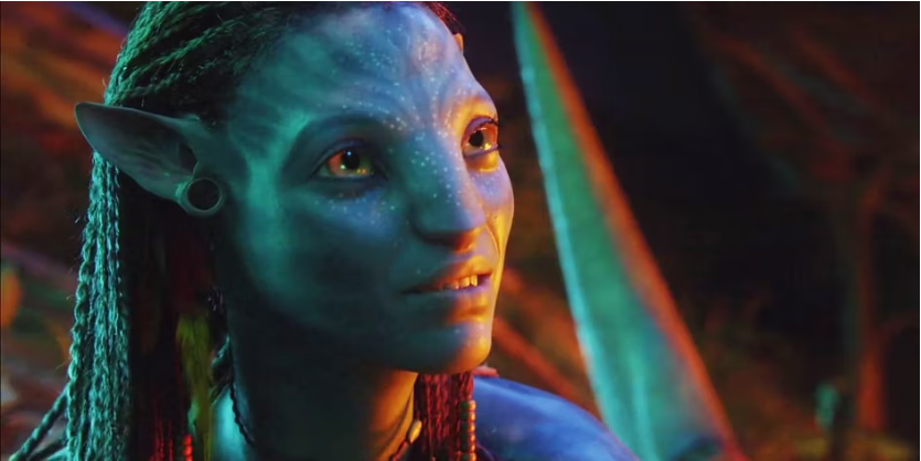 Dàn sao ‘Avatar’ sau 13 năm - ảnh 19