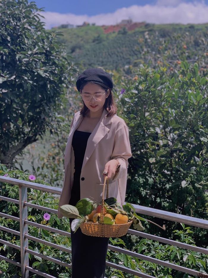 5 vườn hồng trĩu quả ở Đà Lạt vừa đẹp lại cho ăn thỏa thích tại chỗ đang chờ bạn ghé thăm - ảnh 17