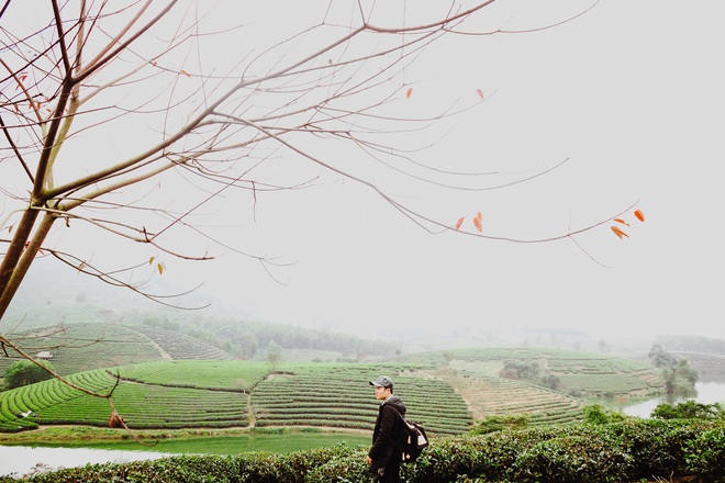 Những đồi chè xanh ngát có cảnh đẹp như phim ở khắp Việt Nam - ảnh 25