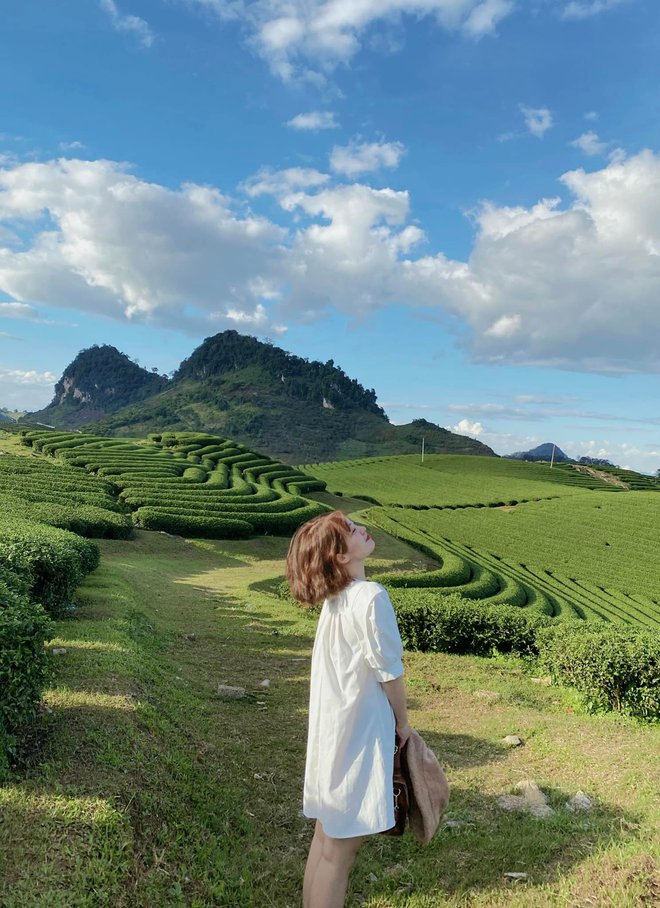 Những đồi chè xanh ngát có cảnh đẹp như phim ở khắp Việt Nam - ảnh 20