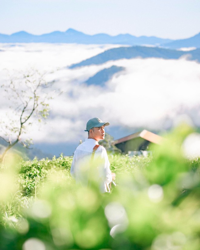 Những đồi chè xanh ngát có cảnh đẹp như phim ở khắp Việt Nam - ảnh 4