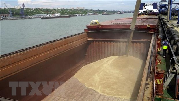 Thổ Nhĩ Kỳ kêu gọi Nga gia hạn thỏa thuận đảm bảo xuất khẩu ngũ cốc - ảnh 1