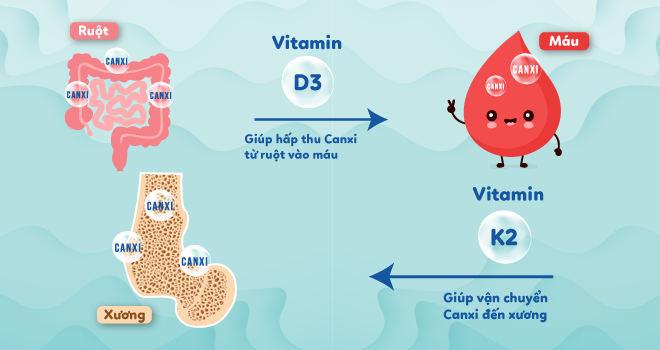 3 xu hướng bổ sung vitamin D3 và K2 cho con chiều cao tối ưu - ảnh 2
