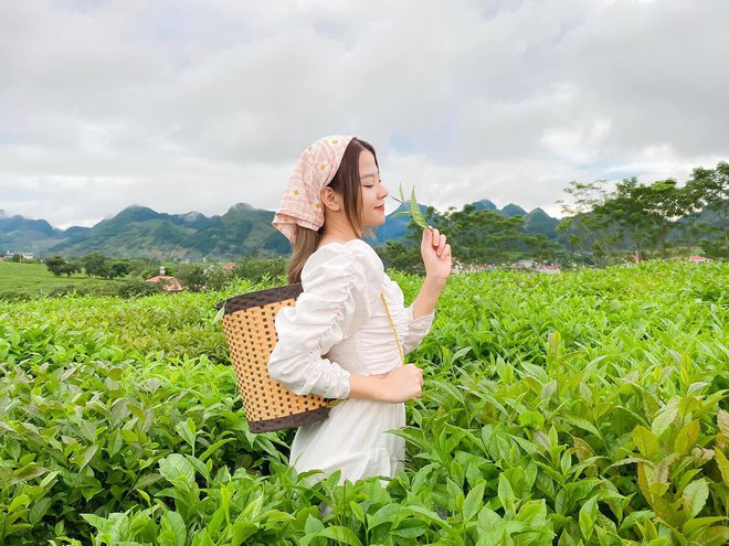 Những đồi chè xanh ngát có cảnh đẹp như phim ở khắp Việt Nam - ảnh 22