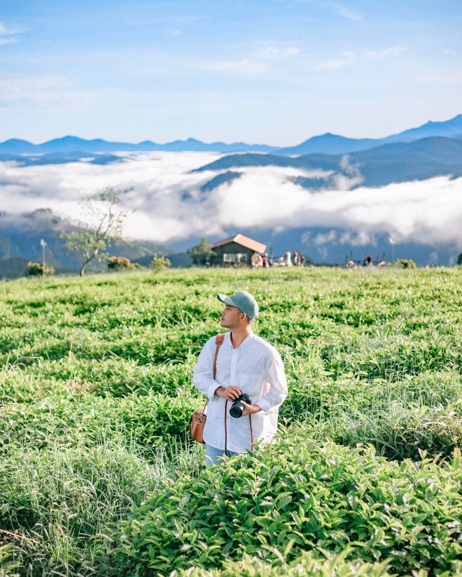 Những đồi chè xanh ngát có cảnh đẹp như phim ở khắp Việt Nam - ảnh 1