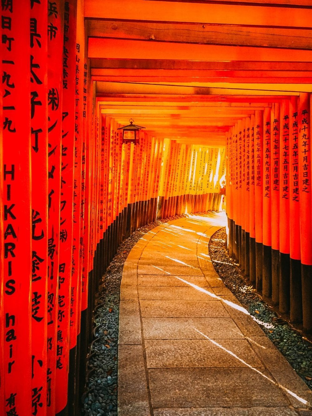 Kyoto rất mong đón du khách trở lại, nhưng ''thủ thỉ'' những yêu cầu đặc biệt - ảnh 5