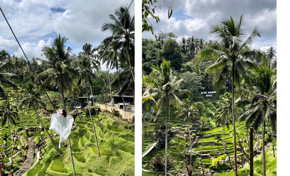 Đến Indonesia ngắm cảnh cực chất ở đảo Bali - ảnh 9