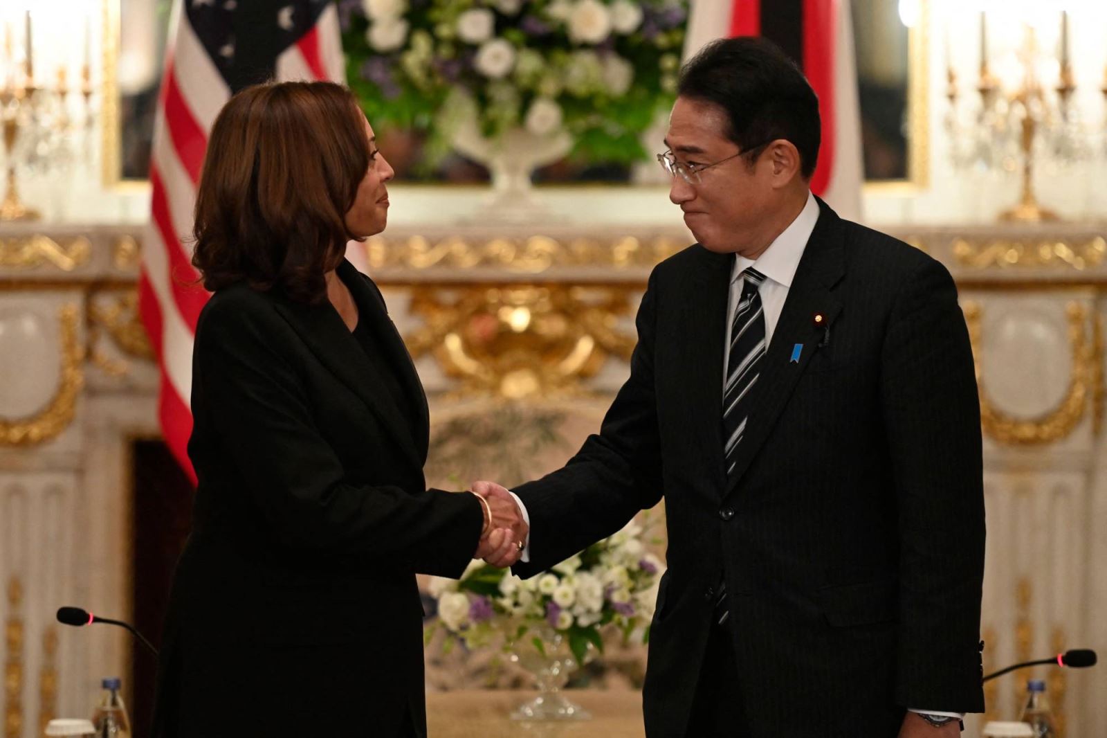 Phó Tổng thống Mỹ công du Đông Á nhằm thắt chặt tam giác quan hệ đồng minh - ảnh 1