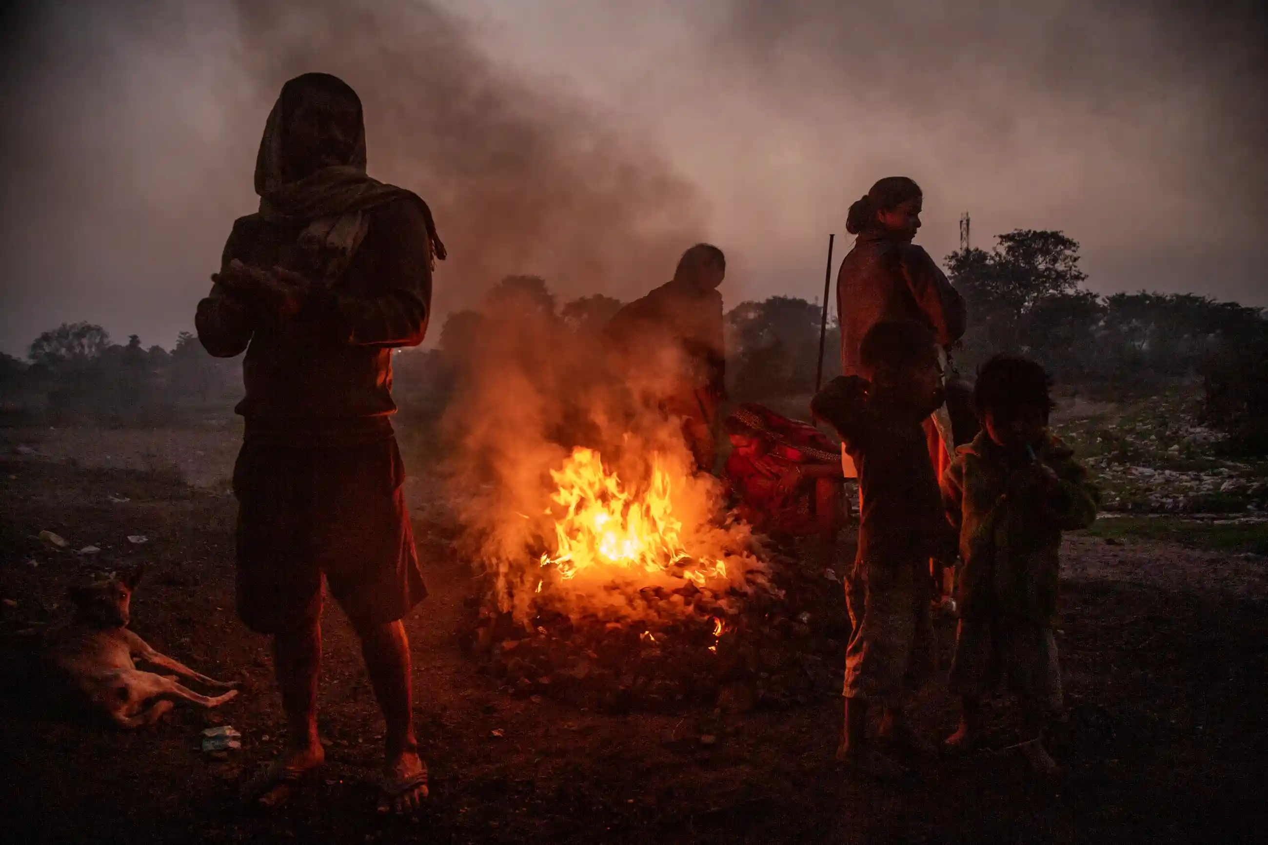 Hiểm họa rình rập giới khai thác than trộm ở Ấn Độ - ảnh 2