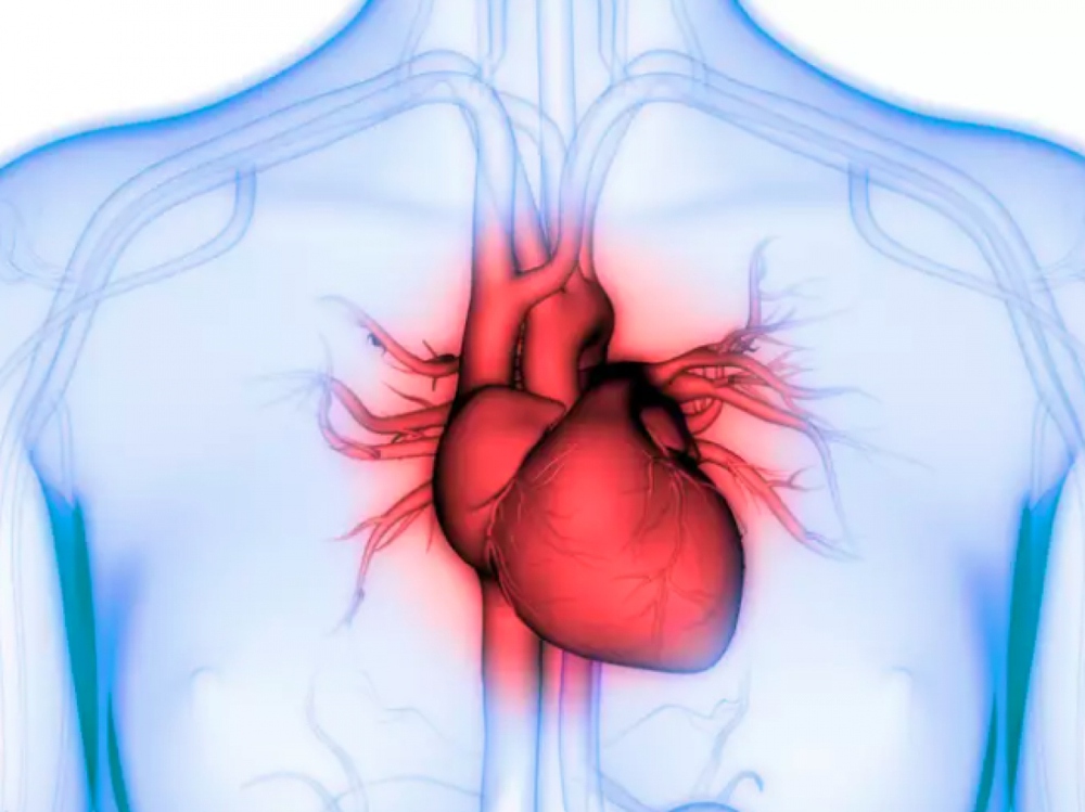 Những xét nghiệm quan trọng để chẩn đoán các vấn đề về tim - ảnh 4