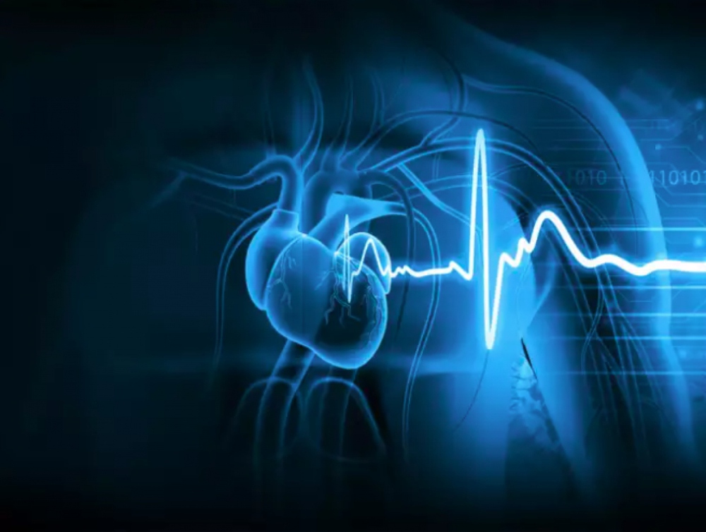 Những xét nghiệm quan trọng để chẩn đoán các vấn đề về tim - ảnh 6