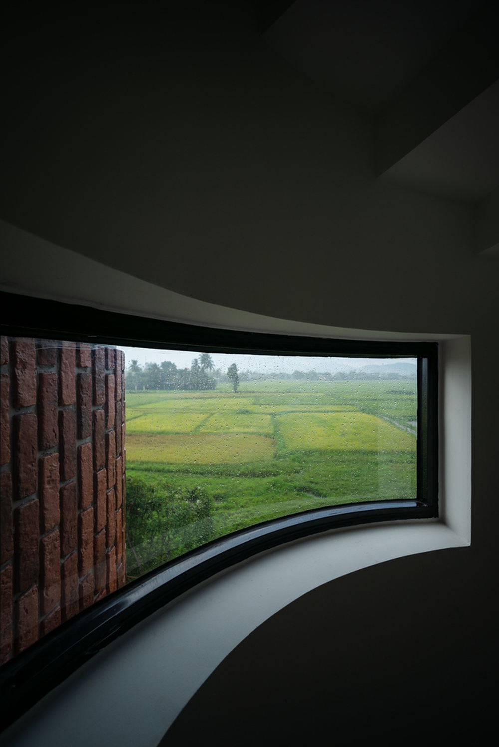 Ngôi nhà chống lũ, mở rộng tầm nhìn nhờ bố trí cửa sổ đa dạng - ảnh 6