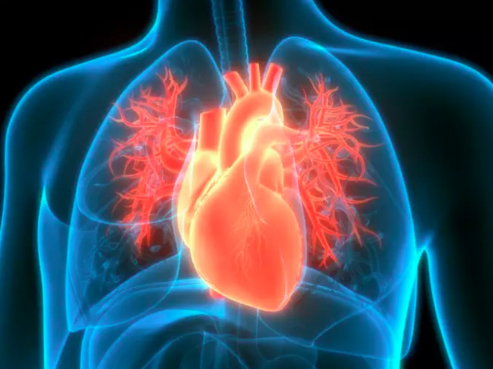 Những xét nghiệm quan trọng để chẩn đoán các vấn đề về tim - ảnh 7