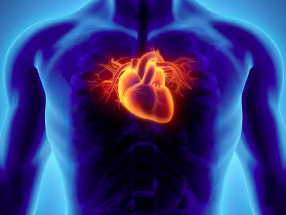 Những xét nghiệm quan trọng để chẩn đoán các vấn đề về tim - ảnh 5