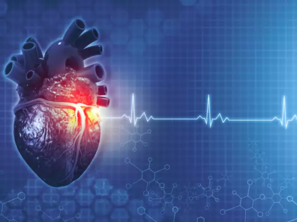 Những xét nghiệm quan trọng để chẩn đoán các vấn đề về tim - ảnh 1