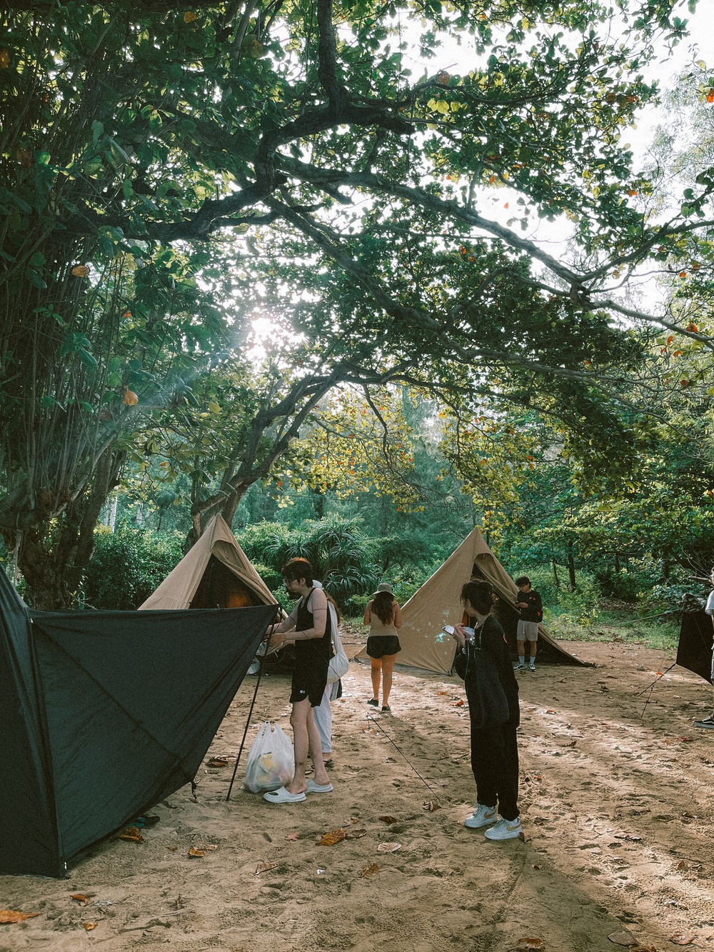Địa điểm cắm trại mới nổi tại Phú Yên: Nơi có đồi cỏ săn bình minh đẹp hút hồn - ảnh 12