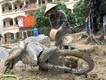 Nghệ An: Lũ quét kinh hoàng ở Kỳ Sơn gây thiệt hại hơn 100 tỷ đồng - ảnh 13
