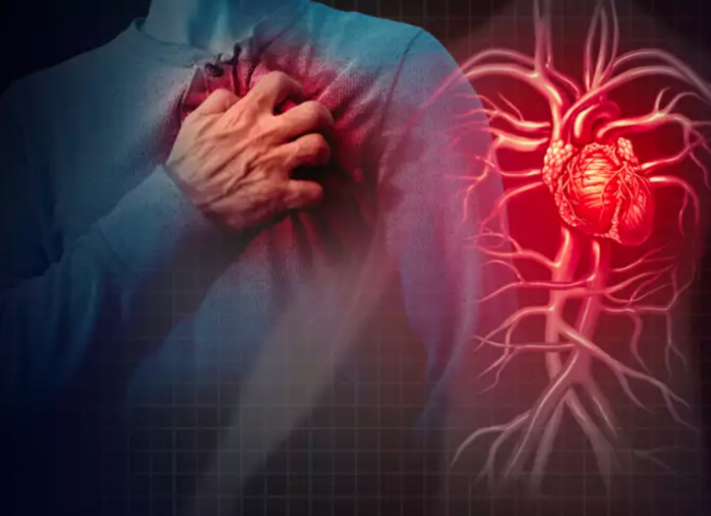 Những xét nghiệm quan trọng để chẩn đoán các vấn đề về tim - ảnh 10
