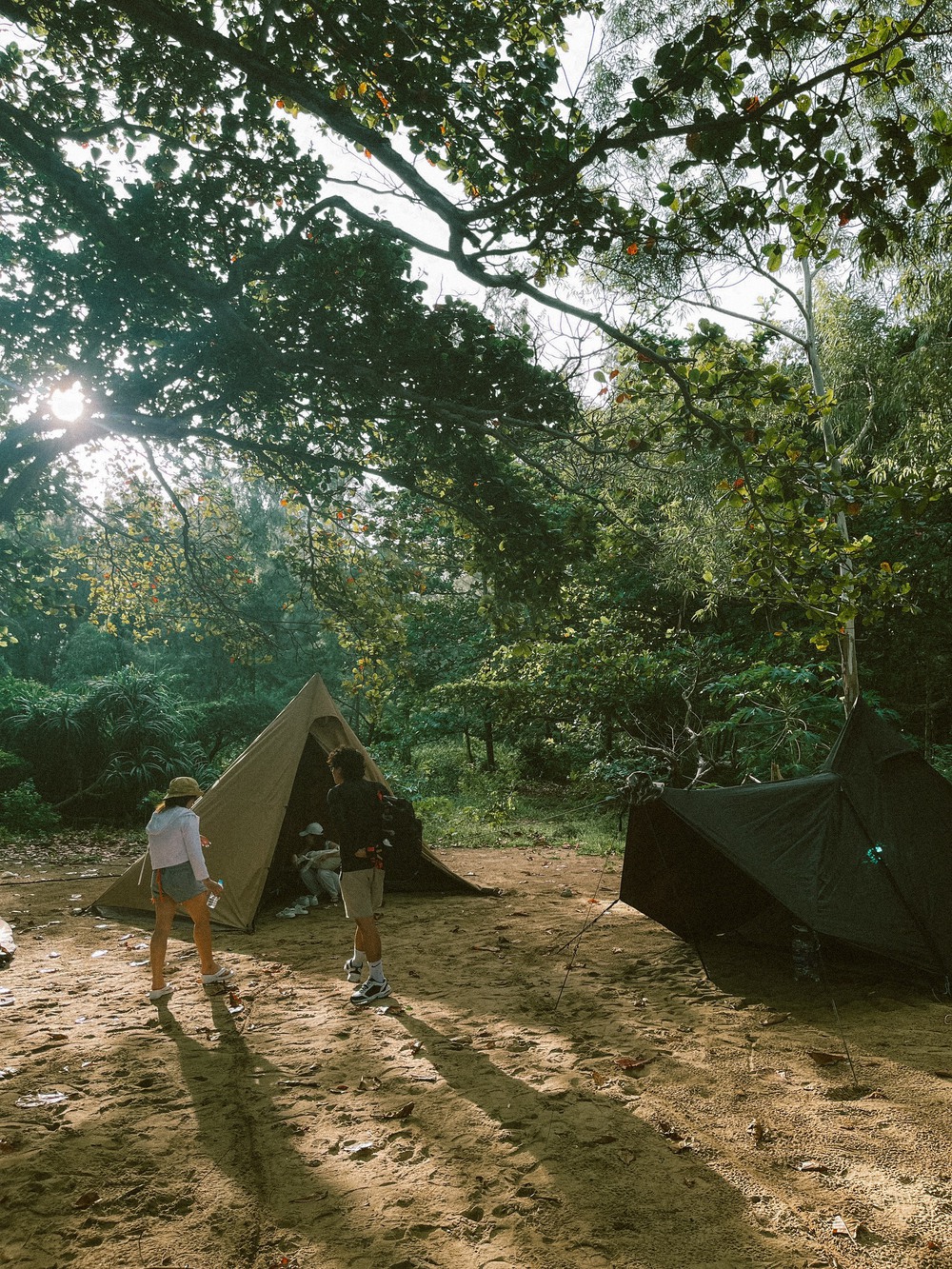 Địa điểm cắm trại mới nổi tại Phú Yên: Nơi có đồi cỏ săn bình minh đẹp hút hồn - ảnh 13
