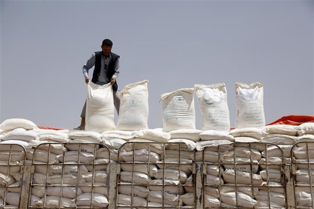 IMF nêu danh sách các quốc gia cần viện trợ lương thực khẩn cấp - ảnh 1