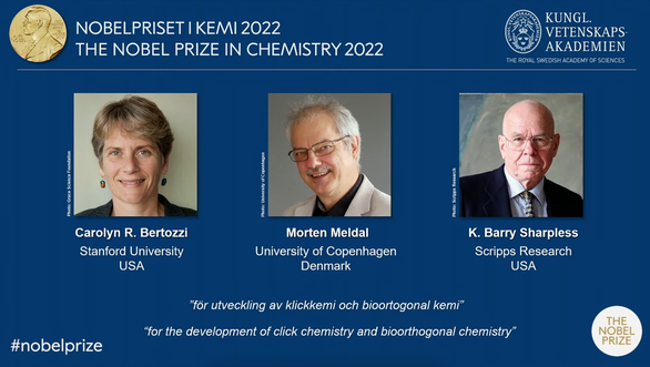 Nobel Hóa học 2022 được trao cho ba nhà khoa học ''gắn kết các phân tử lại với nhau’ - ảnh 1