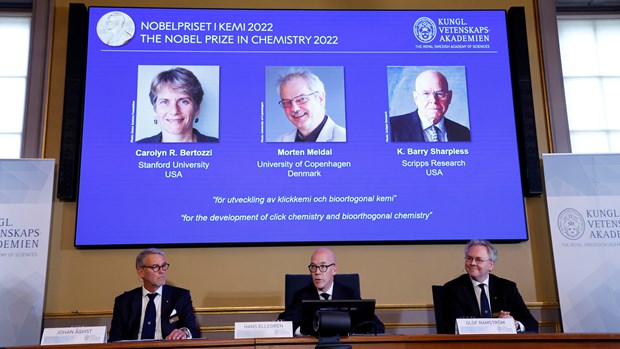 Giải Nobel Hóa học tôn vinh nghiên cứu trong phát triển liên kết - ảnh 1