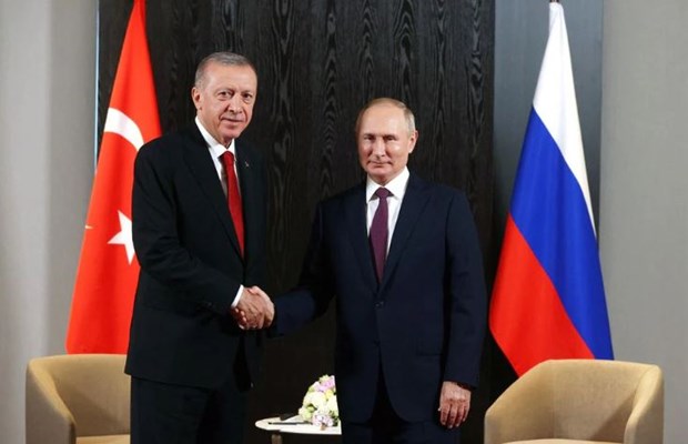 Lãnh đạo Nga và Thổ Nhĩ Kỳ thúc đẩy quan hệ song phương - ảnh 1