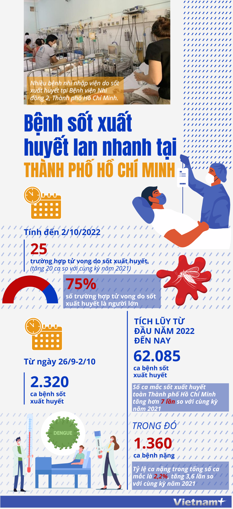 [Infographics] Bệnh sốt xuất huyết lan nhanh ở Thành phố Hồ Chí Minh - ảnh 1