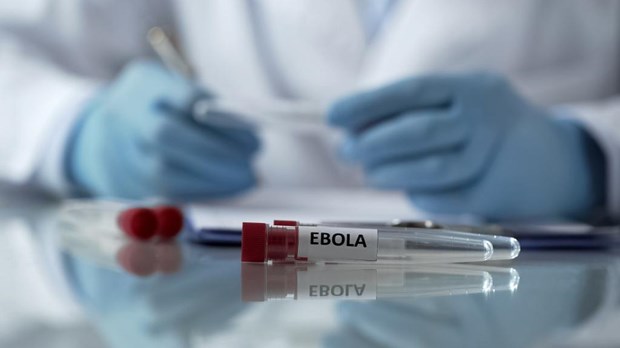 Mỹ siết chặt quy định với người nhập cảnh từ Uganda nhằm ngăn Ebola - ảnh 1