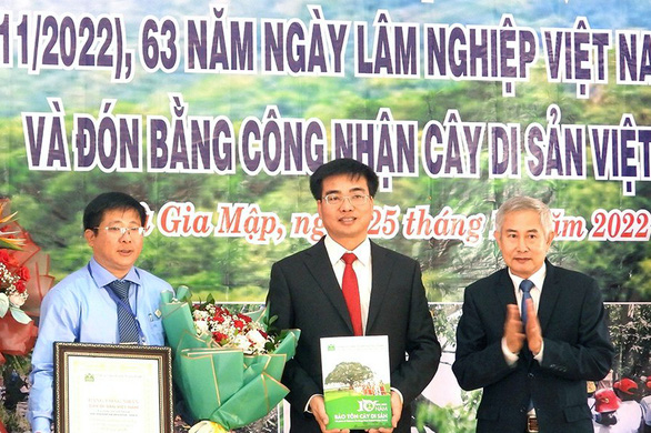 Vườn quốc gia Bù Gia Mập có 39 cây cổ thụ được công nhận Cây di sản Việt Nam - ảnh 2
