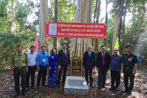 Vườn quốc gia Bù Gia Mập có 39 cây cổ thụ được công nhận Cây di sản Việt Nam - ảnh 3