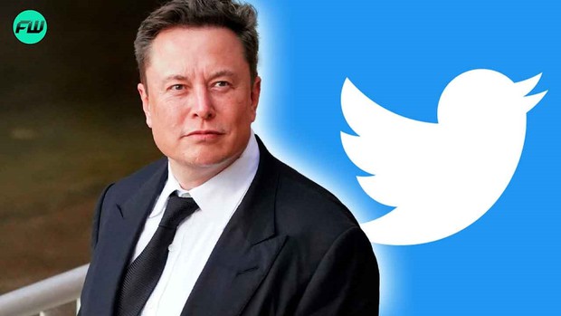 Ác mộng của Phó chủ tịch Twitter: Phải làm việc hơn 75 giờ/tuần vì Elon Musk đã đuổi quá nhiều người - ảnh 3