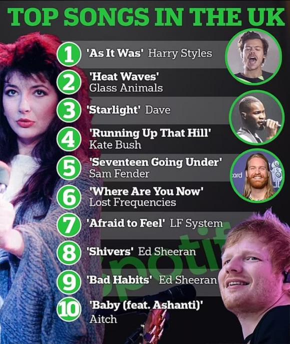 Taylor Swift đứng đầu top nghệ sĩ trên Spotify ở Anh, Harry Styles có bài hát được nghe nhiều nhất năm 2022 - ảnh 5