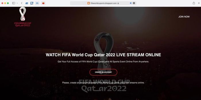 Xem World Cup trực tuyến cẩn thận mất tiền - ảnh 1