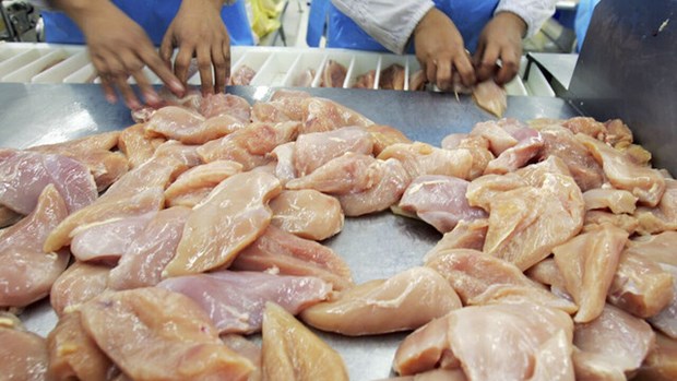 Thịt gà có thể là nguyên nhân gây đợt bùng phát nhiễm khuẩn Salmonella - ảnh 1