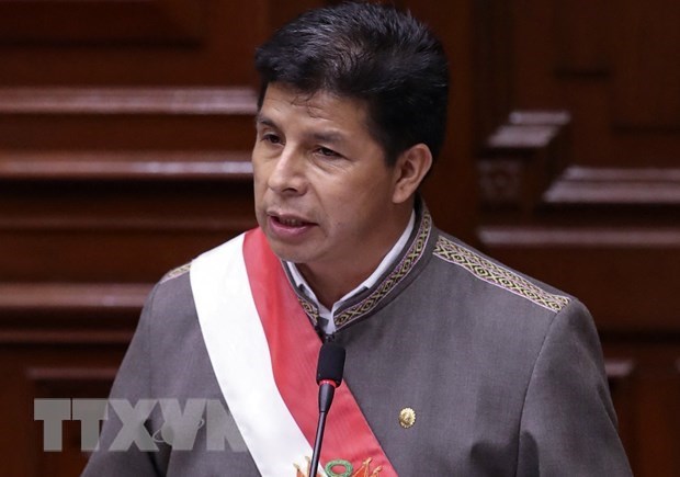 Quốc hội Peru thông qua kiến nghị luận tội Tổng thống Castillo - ảnh 1
