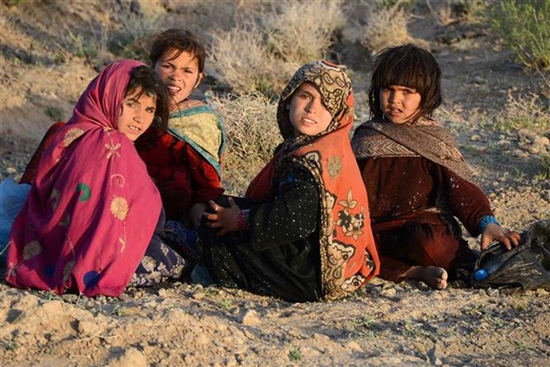 LHQ: Hơn 28 triệu người Afghanistan cần được cứu trợ trong năm 2023 - ảnh 1