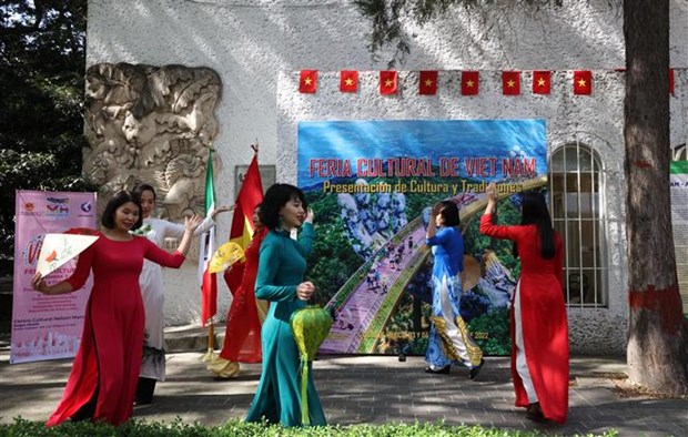 Lan tỏa vẻ đẹp truyền thống văn hóa Việt Nam tại Mexico - ảnh 2