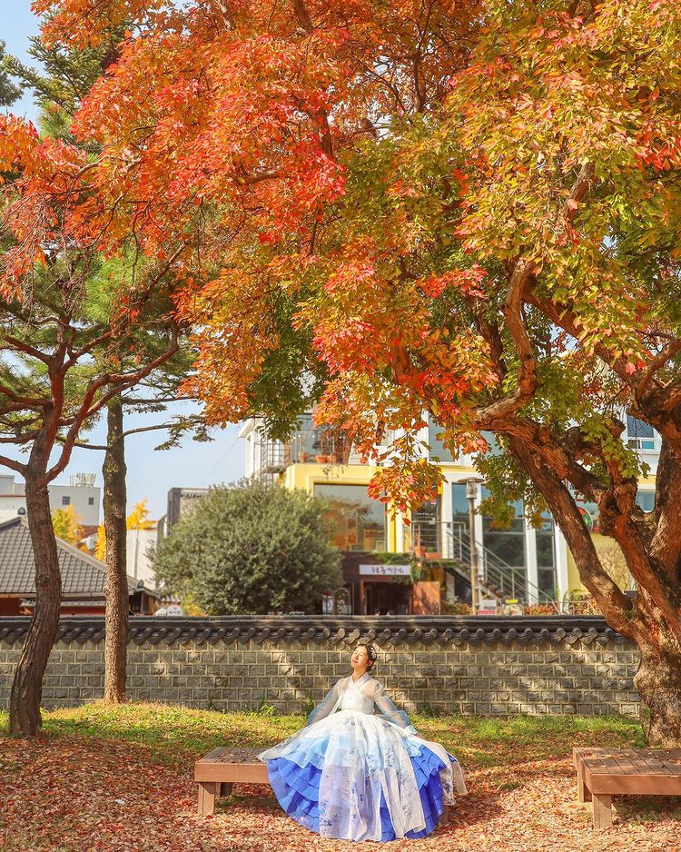 6 địa điểm tận hưởng mùa thu, ngắm lá vàng rơi lãng mạn ở Hàn Quốc - ảnh 13