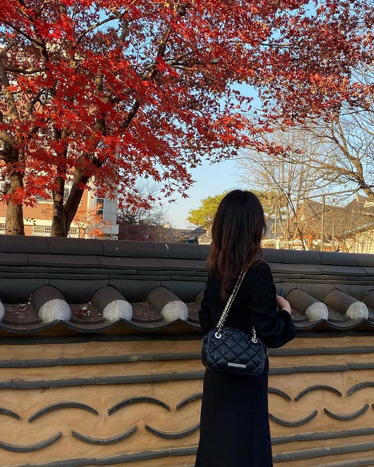 6 địa điểm tận hưởng mùa thu, ngắm lá vàng rơi lãng mạn ở Hàn Quốc - ảnh 11