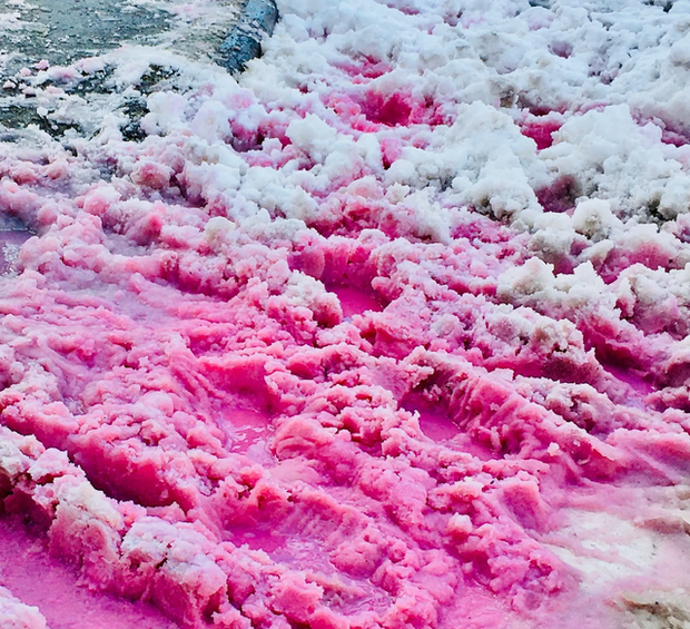 Hiện tượng tuyết hồng kỳ lạ trên các dãy núi: Đẹp mê man nhưng đồng thời là cảnh báo đỏ cho hành tinh chúng ta? - ảnh 1