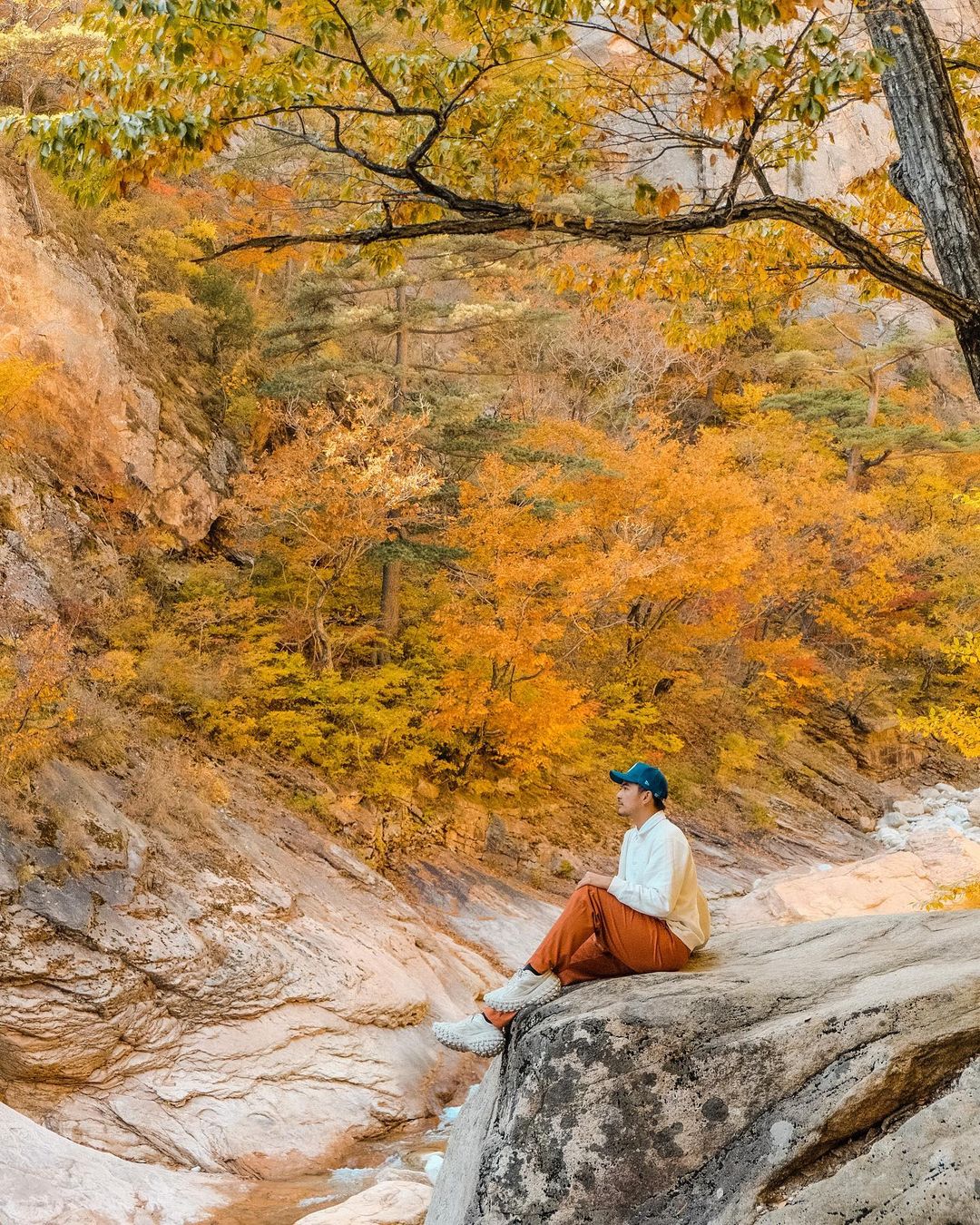 6 địa điểm tận hưởng mùa thu, ngắm lá vàng rơi lãng mạn ở Hàn Quốc - ảnh 6