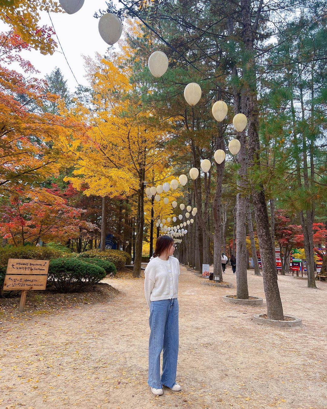 6 địa điểm tận hưởng mùa thu, ngắm lá vàng rơi lãng mạn ở Hàn Quốc - ảnh 2