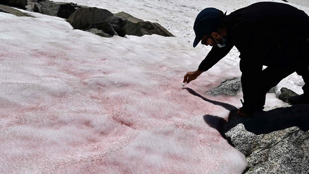 Hiện tượng tuyết hồng kỳ lạ trên các dãy núi: Đẹp mê man nhưng đồng thời là cảnh báo đỏ cho hành tinh chúng ta? - ảnh 2