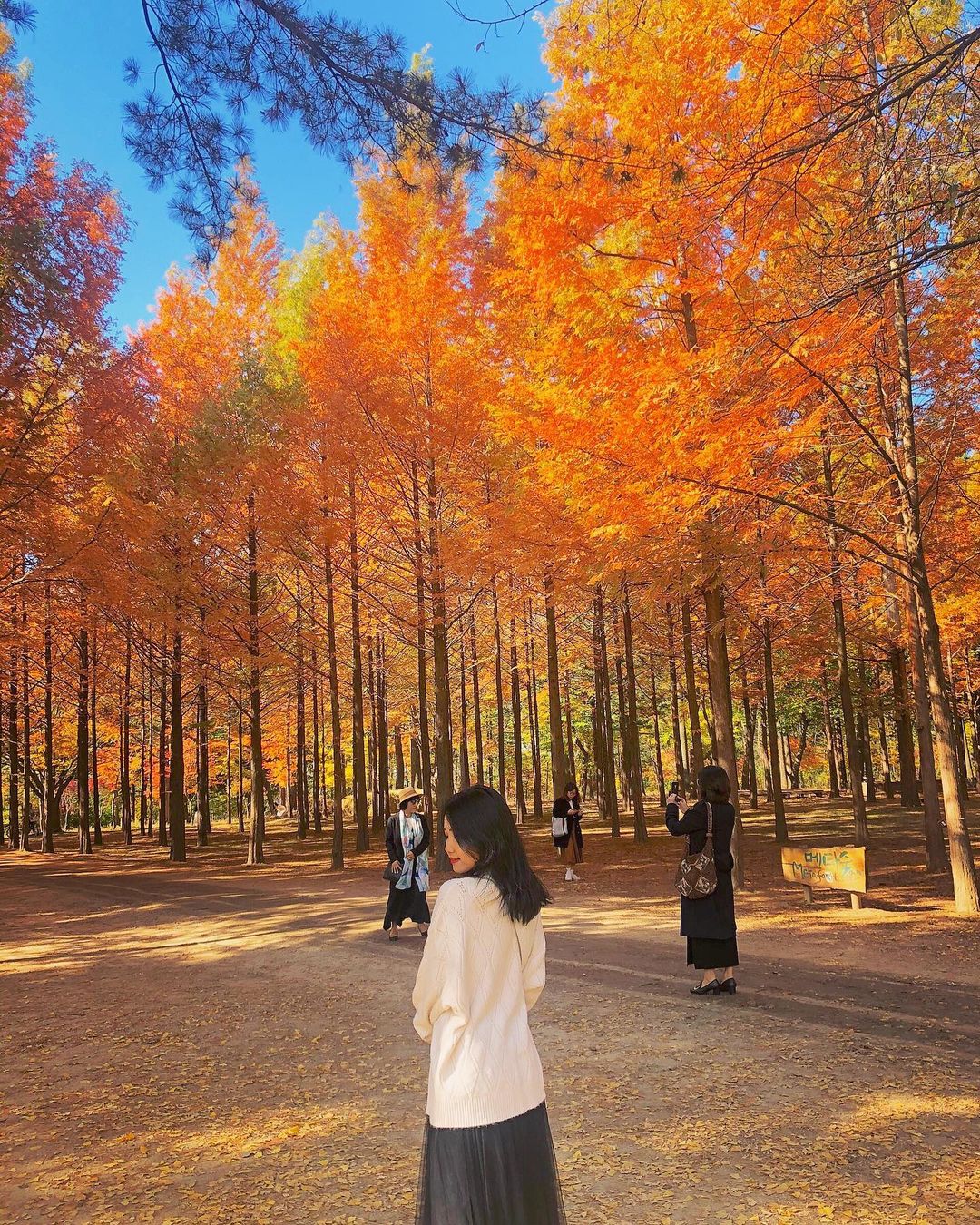 6 địa điểm tận hưởng mùa thu, ngắm lá vàng rơi lãng mạn ở Hàn Quốc - ảnh 1
