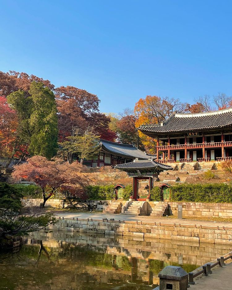 6 địa điểm tận hưởng mùa thu, ngắm lá vàng rơi lãng mạn ở Hàn Quốc - ảnh 10