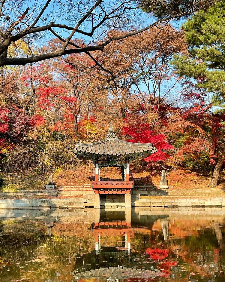 6 địa điểm tận hưởng mùa thu, ngắm lá vàng rơi lãng mạn ở Hàn Quốc - ảnh 9