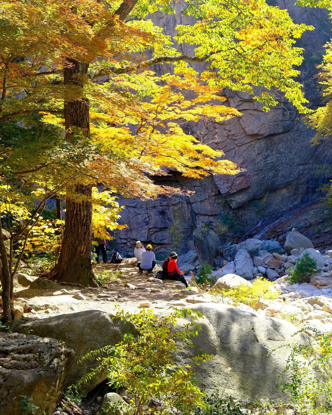 6 địa điểm tận hưởng mùa thu, ngắm lá vàng rơi lãng mạn ở Hàn Quốc - ảnh 7